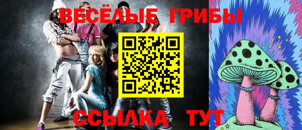 Псилоцибиновые грибы мухоморы Камышлов